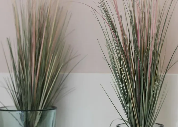 Gartenzauber Semesterbostad